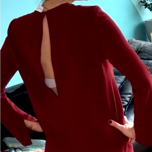 Babaton dress - Picture 2 of 3